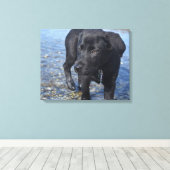 Adorable Black Lab Welpenhund Leinwanddruck (Insitu (Holzboden))