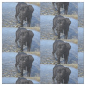 Adorable Black Lab Welpenhund Stoff (Muster)