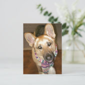 Adorable Black & Tan German Shepherd Postkarte (Stehend Vorderseite)