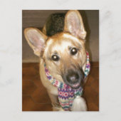 Adorable Black & Tan German Shepherd Postkarte (Vorderseite)