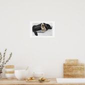 Adorable Blue Mit Augen Sentry Cat Poster (Küche)