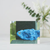 Adorable Bluebird Rock Postkarte (Stehend Vorderseite)