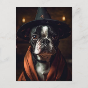 Adorable Boston Terrier Hexe Postkarte