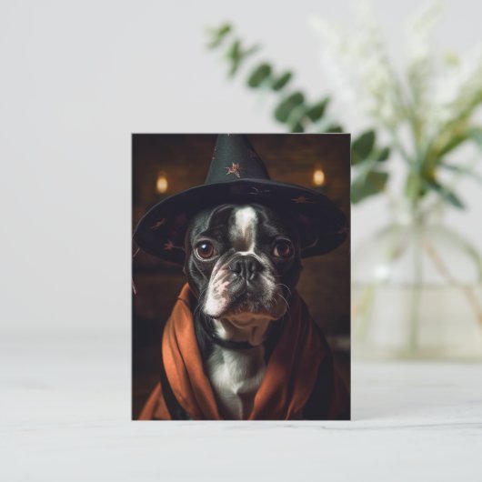 Adorable Boston Terrier Hexe Postkarte (Stehend Vorderseite)