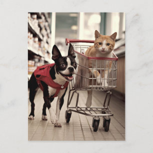 Adorable Boston Terrier und ein Ginger Cat Shoppin Postkarte
