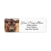 Adorable Brown Calf Rücksendeadresse (Vorne)