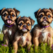 Adorable Brussels Griffon Welppies Milchtasse