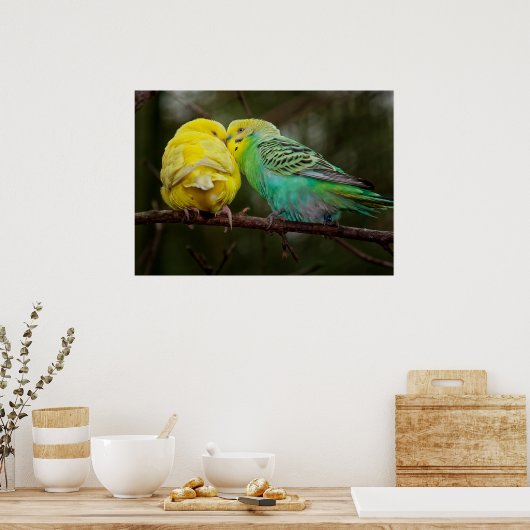 Adorable Budgies Poster (Küche)