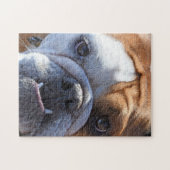 Adorable Bulldog Puzzle (Horizontal)