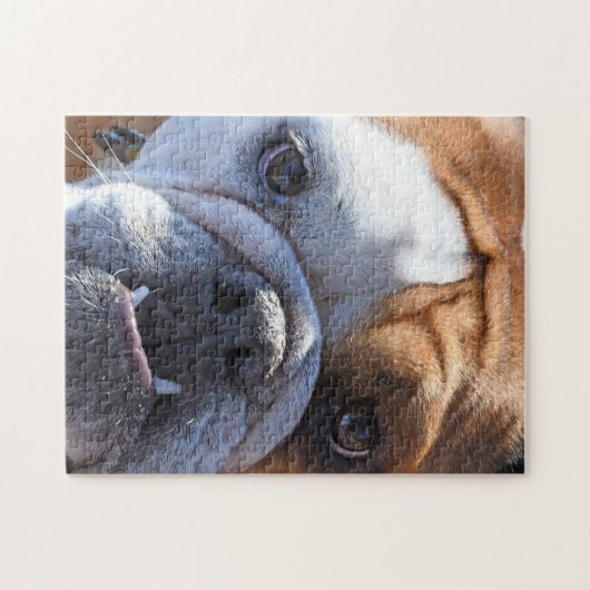 Adorable Bulldog Puzzle (Horizontal)