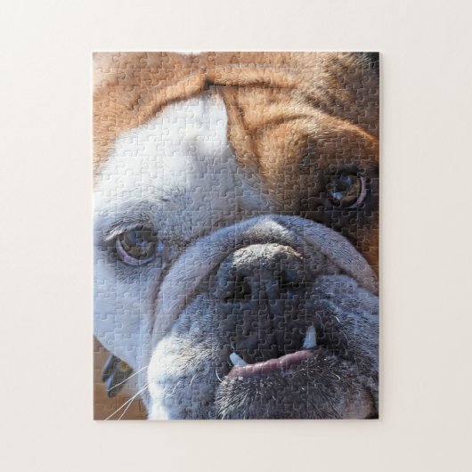 Adorable Bulldog Puzzle (Vertikal)