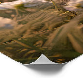 Adorable Bunnies im Frühlingswiese-Design Poster (Ecke)