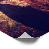 Adorable Calf Grunge Poster (Ecke)