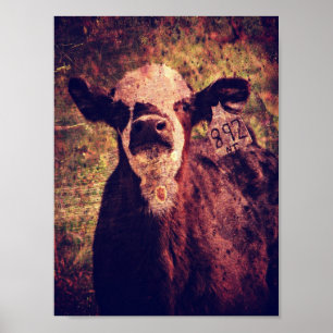Adorable Calf Grunge Poster