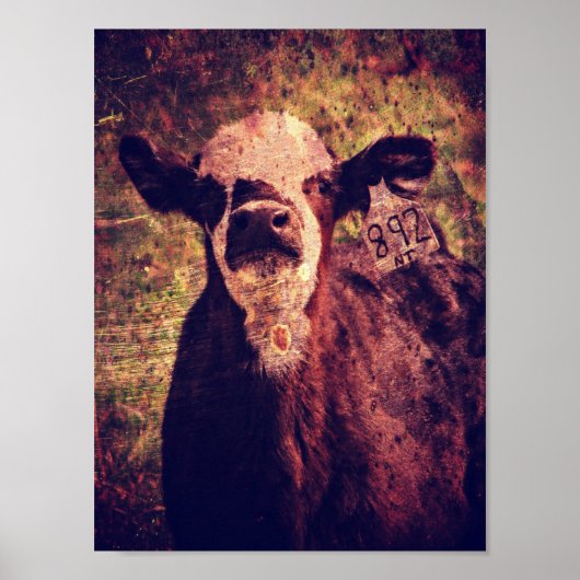 Adorable Calf Grunge Poster (Vorne)