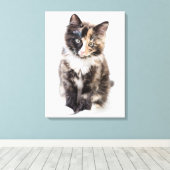 Adorable Calico Kitten Leinwanddruck (Insitu (Holzboden))