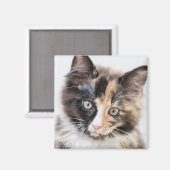 Adorable Calico Kitten Magnet (Vorderseite/Rückseite)