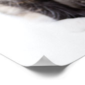 Adorable Calico Kitten Poster (Ecke)