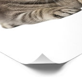 "Adorable Cat Family Cuddle" Poster (Ecke)