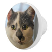 Adorable Cat Keramikknauf (Rechts)