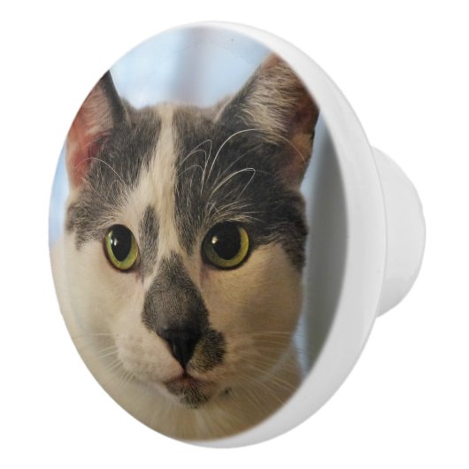 Adorable Cat Keramikknauf (Rechts)