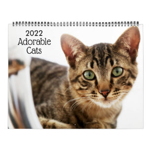 Adorable Cats 2022 Kalender