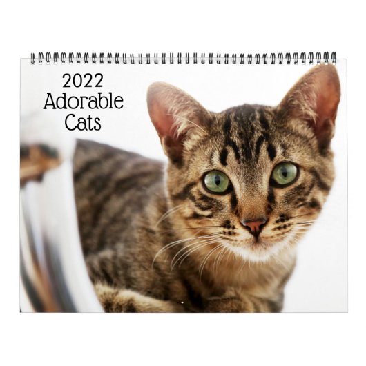Adorable Cats 2022 Kalender (Titelbild)