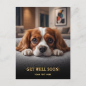 Adorable Cavalier King Charles Spaniel Get Well  Postkarte (Vorderseite)