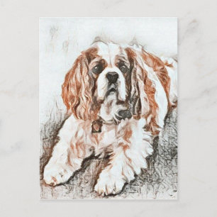 Adorable Cavalier King Charles Spaniel Sketch Postkarte