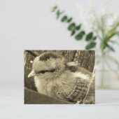 Adorable Chick Playing im Garten Postkarte (Stehend Vorderseite)