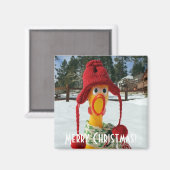 Adorable Chicken Weihnachtsmagnet! Magnet (Vorderseite/Rückseite)