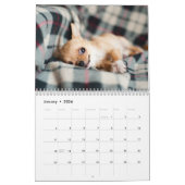 Adorable Chihuahua Dogs 2026 Kalender (Jan 2026)