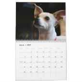 Adorable Chihuahua Dogs 2026 Kalender (Mär 2027)