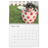 Adorable Chihuahua Dogs 2026 Kalender (Feb 2027)