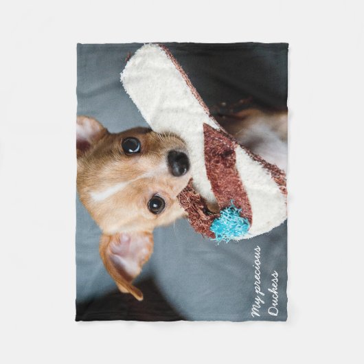 Adorable Chihuahua Fleece Blanket (Vorderseite)
