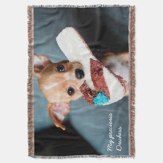 Adorable Chihuahua Foto Throw Blanket Decke (Vorderseite Vertikal)
