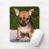 Adorable Chihuahua Puppy Dog Mousepad (Mit Mouse)