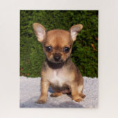 Adorable Chihuahua Puppy Dog Puzzle (Vertikal)
