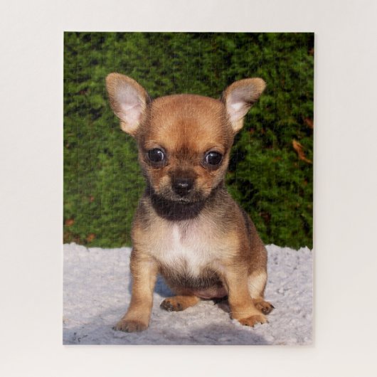 Adorable Chihuahua Puppy Dog Puzzle (Vertikal)