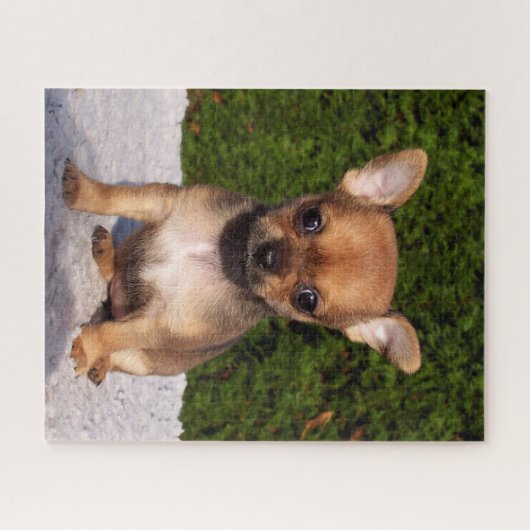 Adorable Chihuahua Puppy Dog Puzzle (Horizontal)