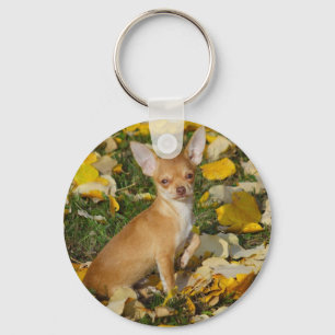 Adorable Chihuahua Welpe zwischen gelben Blätter Schlüsselanhänger
