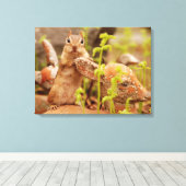 Adorable Chipmunk auf Statue Wrapped Canvas Leinwanddruck (Insitu (Holzboden))