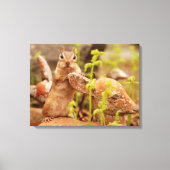 Adorable Chipmunk auf Statue Wrapped Canvas Leinwanddruck (Vorderseite)