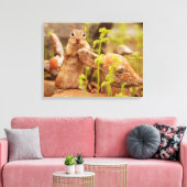 Adorable Chipmunk auf Statue Wrapped Canvas Leinwanddruck (Insitu (Wohnzimmer))