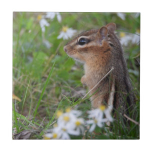 Adorable Chipmunk in Blume Fliese