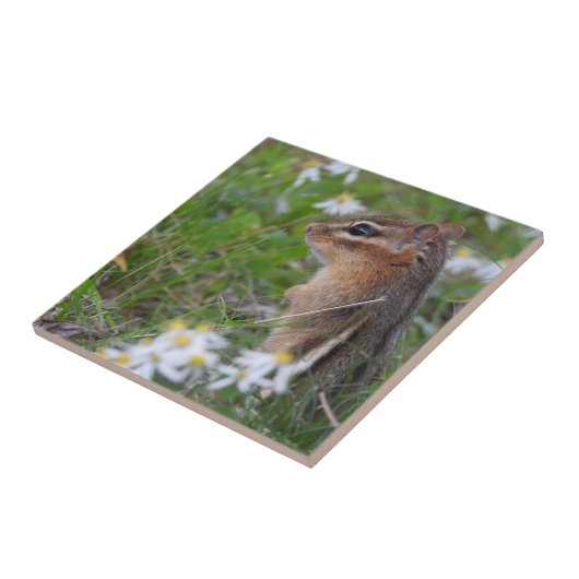 Adorable Chipmunk in Blume Fliese (Seite)