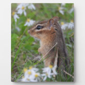 Adorable Chipmunk in Blume Fotoplatte (Vorderseite)