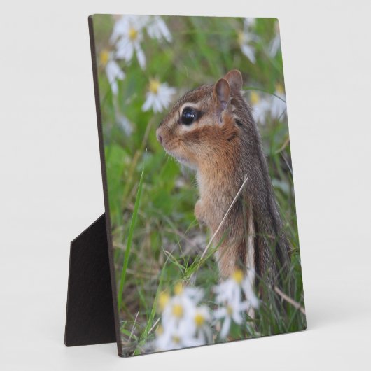 Adorable Chipmunk in Blume Fotoplatte (Seite)