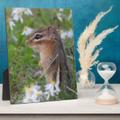 Adorable Chipmunk in Blume Fotoplatte (Seite)