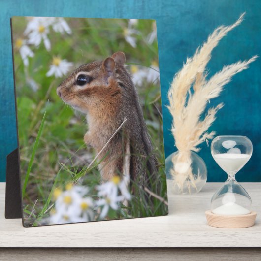 Adorable Chipmunk in Blume Fotoplatte (Seite)